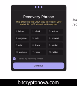 Entering a password and writing down the recovery seed phrase during wallet setup